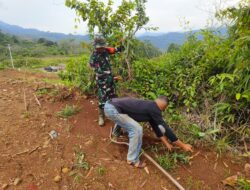 Cegah Tanah Longsor Babinsa Kodim 1311/Morowali Kolaborasi dengan Perusahaan Laksanakan Penanaman Pohon di Morowali Utara