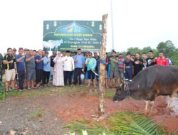 Wujud Syukur Rayakan Idul Adha, Kodim 1311/Morowali Berkurban 14 Ekor Sapi