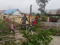 Babinsa 1311/Soyo Jaya Serka Ramli Gelar Kerja Bakti Bersama Masyarakat Desa Bau