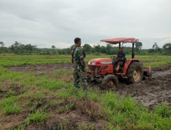 Dukung Ketahanan Pangan Nasional Babinsa Koramil 1311-05/Mori atas Sertu Mustakim Mendukung Pengembangan Pertanian di Desa Era Kabupaten Morowali utara