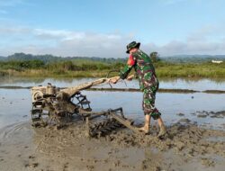 Babinsa Koramil 1311-08/SJ Dukung Ketahanan Pangan Nasional Melalui Pendampingan Petani