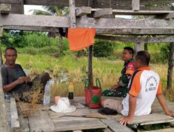 Praka Banti Babinsa Kodim 1311/Morowali Silaturahmi Dengan Ketua Kelompok Tani Desa Tambarabone