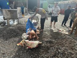 Polres Morowali berhasil Ungkap dan Tangkap Tersangka Pembunuhan TKA di Mess PT.KTGI