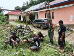 Babinsa Koramil 1311-03/Petasia Kerja Bakti Bersama Masyarakat Bangun Rumah di Desa Peboa