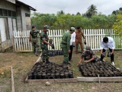 Kolaborasi Pembibitan Pohon Kayu Keras oleh Babinsa Koramil 1311-08/Soyo jaya Bersama Linmas dan Pemdes Panca Makmur 