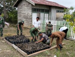Kolaborasi Pembibitan Pohon Kayu Keras oleh Babinsa Koramil 1311-08/Soyo jaya, Linmas, dan Pemdes Panca Makmur