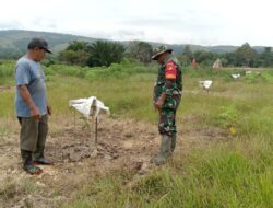 Babinsa Koramil 1311-05/Mori Atas Dampingi Kelompok Tani Pantau Perkembangan Tanaman di Desa Lembontonara 