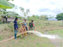 Babinsa Kodim 1311/Mrw, Melaksanakan Uji Coba Mesin Pompanisasi