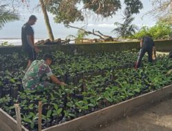 Kodim 1311/Mrw Laksanakan Penyemaian dan Pembibitan Pohon