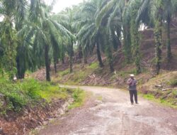 Keberadaan PT. Wajar Copora disinyalir tidak ada Azas manfaat terhadap (PAD) daerah Kabupaten Aceh Timur