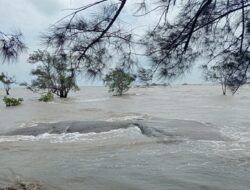 LEGENDA MISTIS PANTAI TELAPAK ANTU