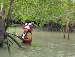 Rutin Lakukan Pemantauan Biota Laut, PT Timah Komitmen Menjaga Keseimbangan Ekosistem Pesisir