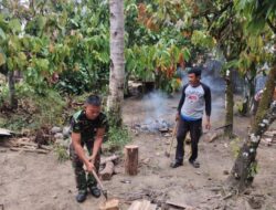 Babinsa Koramil 1311-07/Menui Kepulauan Bantu Pembangunan Rumah Warga Desa Kofalagadi