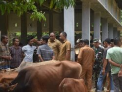 Pj. Bupati Aceh Timur Tinjau Pasar Hewan Idi Rayeuk