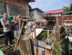 Polsek Bumi Raya Berikan Bantuan Benih Lele untuk Dukung Petani Budidaya di Desa Parilangke