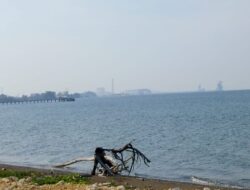 Bongkar Muat Tiap Hari, PT BTIIG Disinyalir Gunakan Pelabuhan Tanpa Izin Tersus