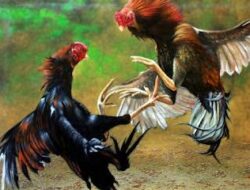 Kapolres Nias Mendapat Apresiasi, Gelanggang Sabung Ayam Simpang Lima Hening