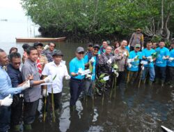 Peringati Hari Mangrove Sedunia, PT Vale Tanam 2.000 Bibit Mangrove dan Restorasi Terumbu Karang di Malili
