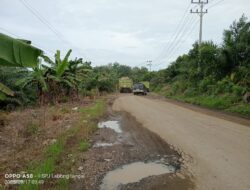 Jalan Lintas Kerkap–Arga Makmur dan Lais–Arga Makmur Kian Rusak, Jembatan Lubuk Durian Sangat Memprihatinkan 