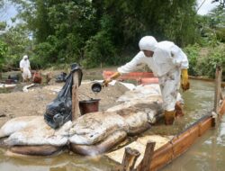 Towuti Pulih Bertahap, Sungai Mulai Jernih: Pemulihan PT Vale Masuki Fase Terstruktur