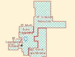 Lahan Pertambangan PT. ST Nikel Resources dan PT. MBS Diduga Tanah Ulayat