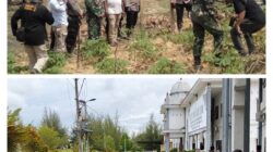 Wabup Aceh Timur, Terkait Sengketa Lahan Antara Masyarakat dengan Perusahaan Harus Selesaikan secara Objektif