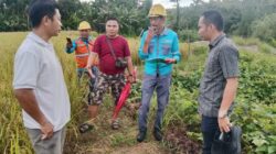 Apresiasi Mengalir untuk Ilham Mendrofa dan Anggota DPRD Kota Gunungsitoli, Penantian 37 Tahun Warga Dusun IV Hambawa Terjawab