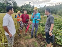 Apresiasi Mengalir untuk Ilham Mendrofa dan Anggota DPRD Kota Gunungsitoli, Penantian 37 Tahun Warga Dusun IV Hambawa Terjawab