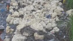 BBWS Klarifikasi Soal Proyek Irigasi di Desa Lawira I, Nias Utara