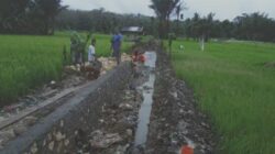 Diduga Proyek Irigasi “Siluman” di Nias Utara, Warga Minta Dibongkar Karena Pakai Batu Kapur