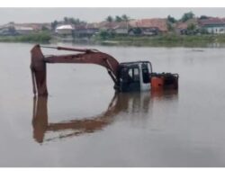 Program Cetak Sawah Rp5,3 Miliar Gagal Total, Dampak Lingkungan Mengkhawatirkan