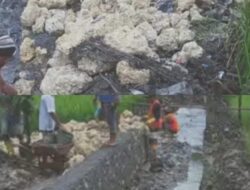 Proyek Irigasi BBWS Rp 1,3 Miliar di Nias Utara Diduga Keras Langgar Standar PUPR, Pengamat: Potensi Rugikan Negara