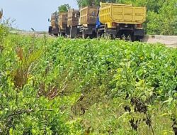 Diduga Ada Pembiaran Terhadap Penambangan Pasir Ilegal Propam Polda Sultra Diminta Periksa Polres Kolaka