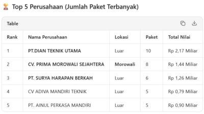 DUGAAN PENGATURAN SISTEMATIS PROYEK DI MOROWALI: 5 PERUSAHAAN KUASAI PULUHAN PAKET SENILAI RP6,5 MILIAR