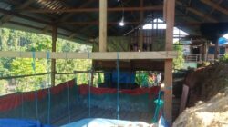 Diduga Dibekingi Oknum Polisi, 10 PETI di Halmahera Selatan Bebas Gunakan Sianida dan Merkuri