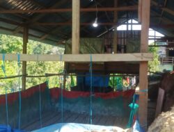 Diduga Dibekingi Oknum Polisi, 10 PETI di Halmahera Selatan Bebas Gunakan Sianida dan Merkuri