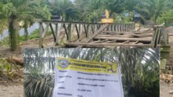 DUGAAN ULAH PROYEK JEMBATAN POLO 13,5 MILIAR: POHON SAWIT WARGA DIRUSAK, PEMILIK MINTA GANTI RUGI RP5 JUTA PER BATANG