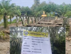 DUGAAN ULAH PROYEK JEMBATAN POLO 13,5 MILIAR: POHON SAWIT WARGA DIRUSAK, PEMILIK MINTA GANTI RUGI RP5 JUTA PER BATANG