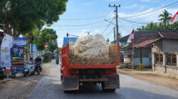 HEBOH! DIDUGA BATU GAJAH PENAHAN OMBAK PARILANGKE DIAMBIL DARI IUP BODONG TANPA RKAB