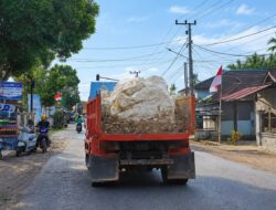 HEBOH! DIDUGA BATU GAJAH PENAHAN OMBAK PARILANGKE DIAMBIL DARI IUP BODONG TANPA RKAB