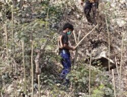 Tanggapi Keluhan Warga, PT RUJ Tingkatkan Pengendalian Debu:Penyiraman Rutin, Blower Air, dan Penghijauan di Morowali