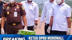 Ketua DPRD Morowali Herdianto Marzuki Hadiri Pemusnahan 65 Perkara di Kejari Morowali