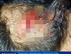 Diduga Cemburu, Oknum ASN di Morowali Aniaya Warga Desa Laroue Hingga Kepala Luka dan Tangan Kiri Patah